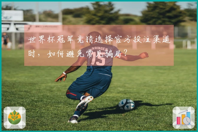 世界杯冠军竞猜选择官方投注渠道时，如何避免常见骗局？