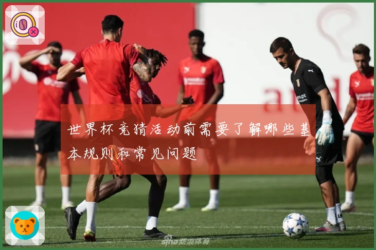 世界杯竞猜活动前需要了解哪些基本规则和常见问题