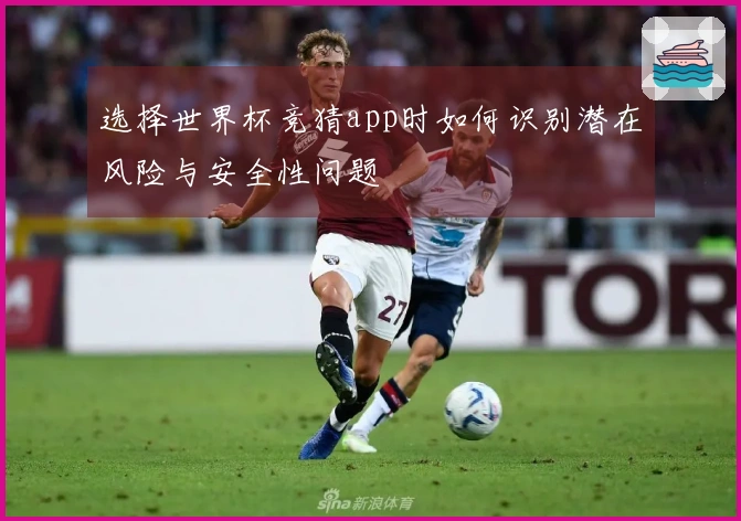 选择世界杯竞猜app时如何识别潜在风险与安全性问题