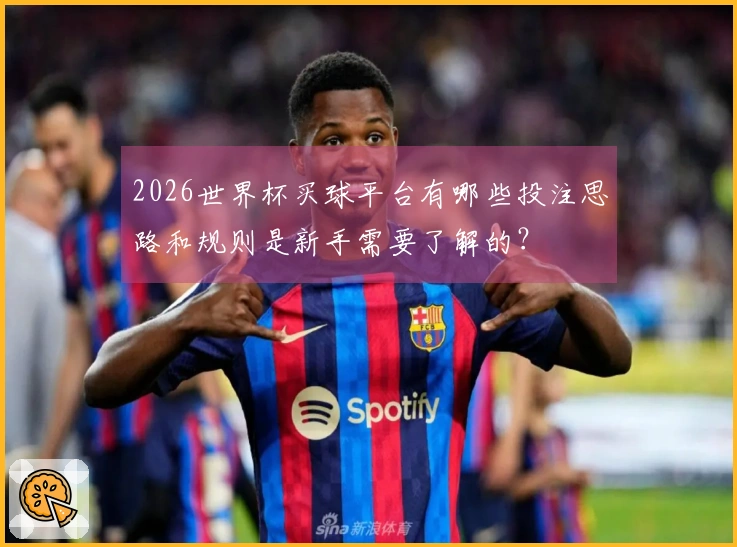2026世界杯买球平台有哪些投注思路和规则是新手需要了解的？
