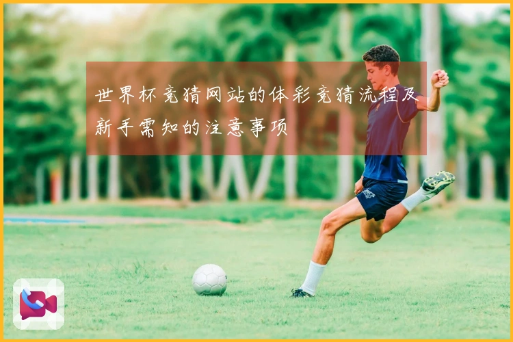世界杯竞猜网站的体彩竞猜流程及新手需知的注意事项