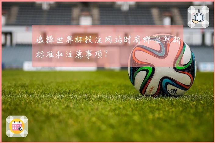 选择世界杯投注网站时有哪些判断标准和注意事项？