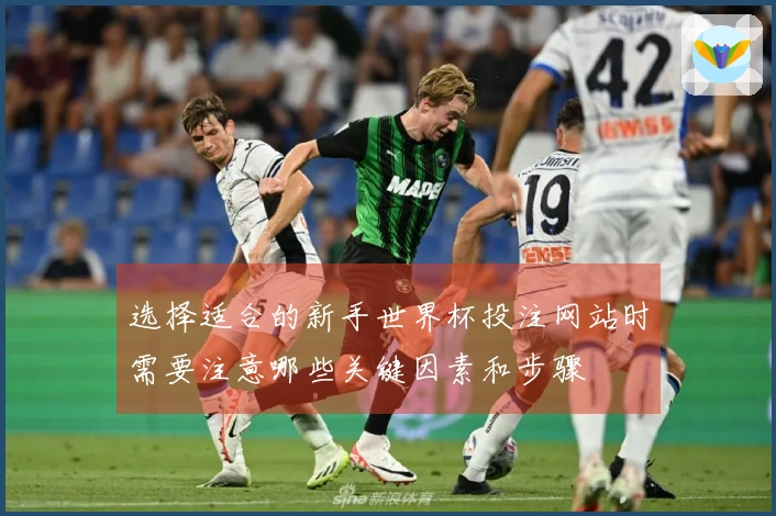 选择适合的新手世界杯投注网站时需要注意哪些关键因素和步骤