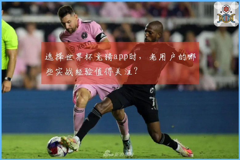 选择世界杯竞猜app时，老用户的哪些实战经验值得关注？