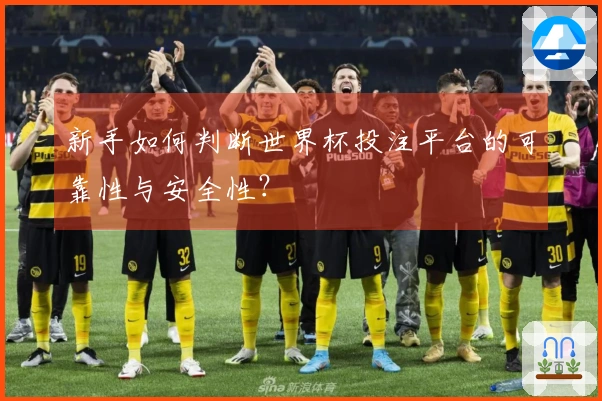 新手如何判断世界杯投注平台的可靠性与安全性？