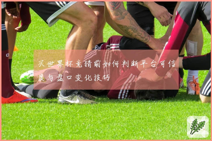 买世界杯竞猜前如何判断平台可信度与盘口变化技巧