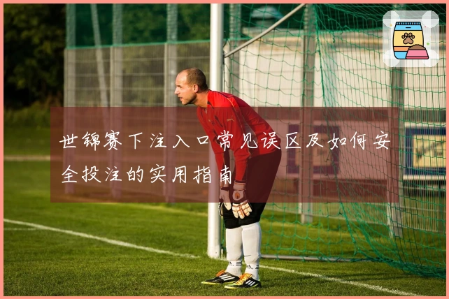 世锦赛下注入口常见误区及如何安全投注的实用指南