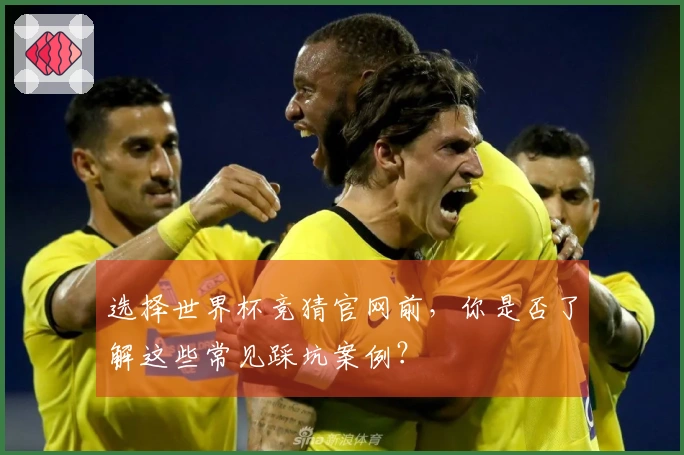 选择世界杯竞猜官网前，你是否了解这些常见踩坑案例？