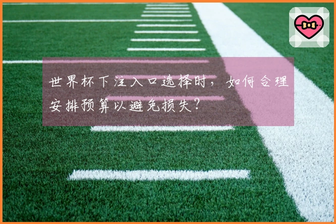 世界杯下注入口选择时，如何合理安排预算以避免损失？