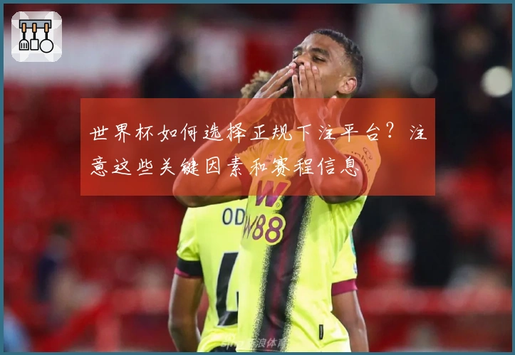 世界杯如何选择正规下注平台？注意这些关键因素和赛程信息