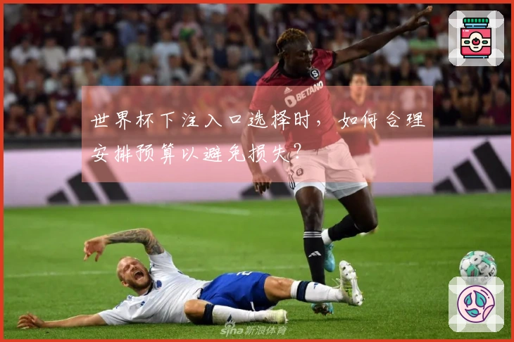 世界杯下注入口选择时，如何合理安排预算以避免损失？