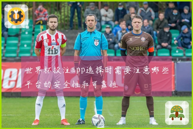 世界杯投注app选择时需要注意哪些平台的安全性和可靠性