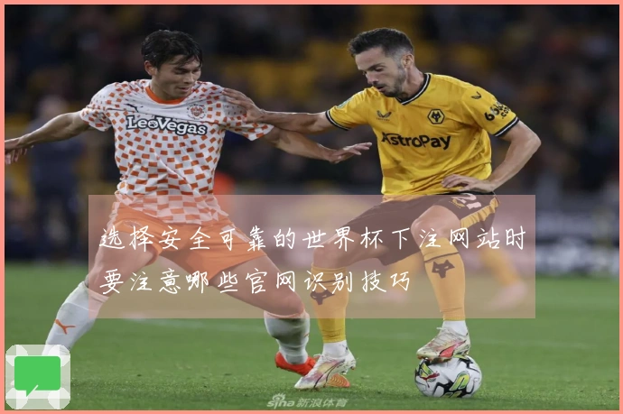 选择安全可靠的世界杯下注网站时要注意哪些官网识别技巧