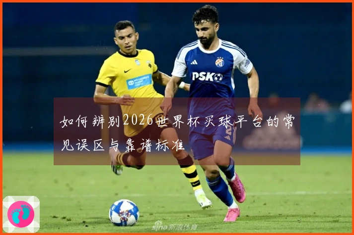 如何辨别2026世界杯买球平台的常见误区与靠谱标准