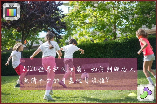 2026世界杯投注前，如何判断各大竞猜平台的可靠性与流程？