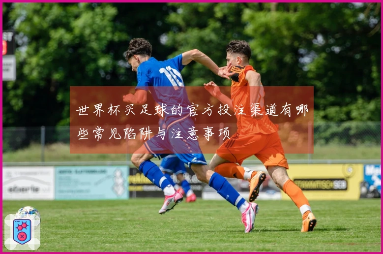世界杯买足球的官方投注渠道有哪些常见陷阱与注意事项