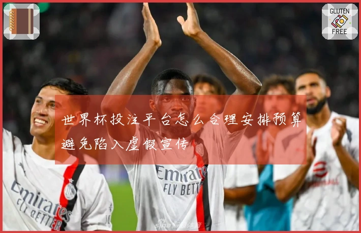 世界杯投注平台怎么合理安排预算避免陷入虚假宣传