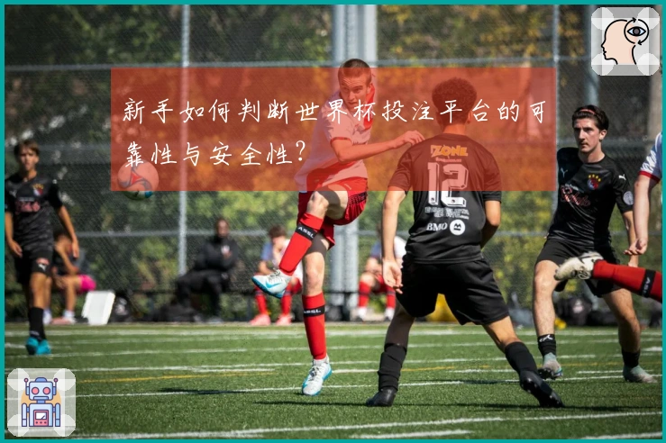 新手如何判断世界杯投注平台的可靠性与安全性？