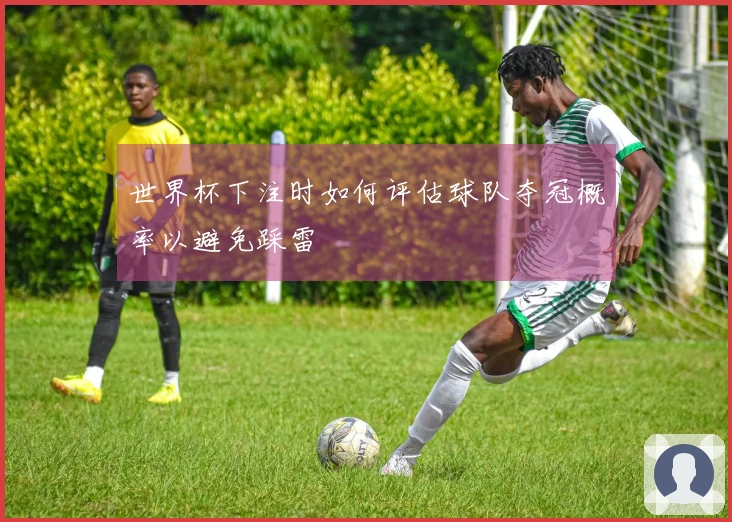 世界杯下注时如何评估球队夺冠概率以避免踩雷