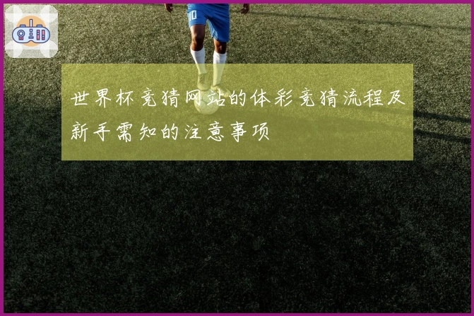 世界杯竞猜网站的体彩竞猜流程及新手需知的注意事项