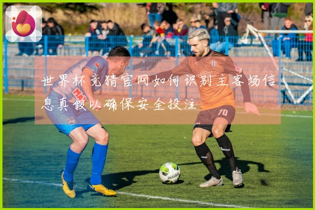 世界杯竞猜官网如何识别主客场信息真假以确保安全投注