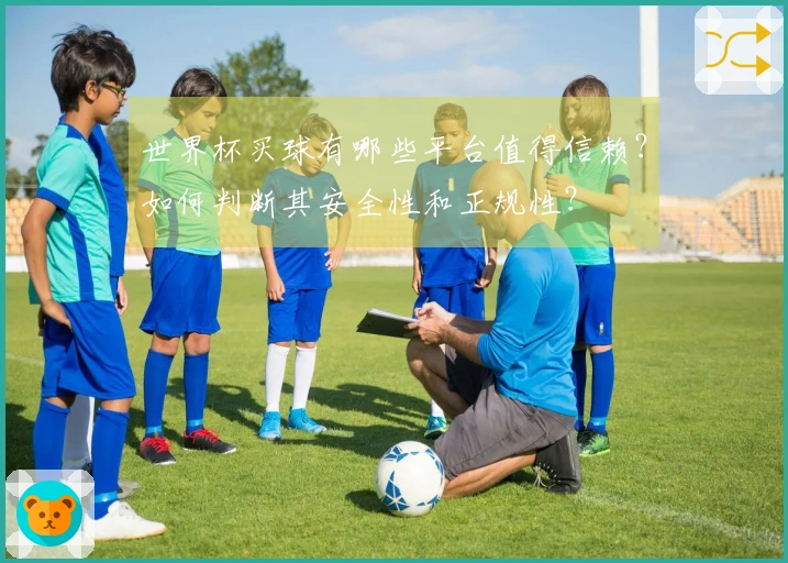 世界杯买球有哪些平台值得信赖？如何判断其安全性和正规性？