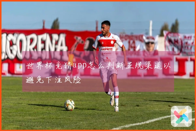 世界杯竞猜app怎么判断正规渠道以避免下注风险